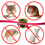 Peppermint Repellent for Mice/Mouse, Rats & Rodents. Natural Spray for Indoor & Outdoor Use. Natural Armor Rodent Shield. 128 OZ Gallon