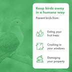 Bird Blinder Steel Bird Spikes for Pigeons and Other Small Birds - 4 inch Wide Pre-Assembled Bird Deterrent No Plastic - 10 Strips, 11 ft Coverage