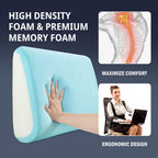 HOMBYS Lumbar Support Pillow for Recliner Chair, Memory Foam Back Support Cushion for Elderly,Extra Large Lumbar Support Pillow with Extension Straps