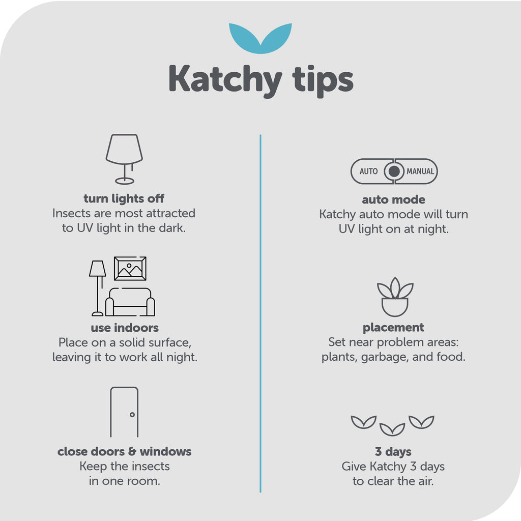 Katchy Indoor Fly Trap - Catcher & Killer for Mosquito, Gnat, Moth, Fruit Flies - Non-Zapper Traps for Buzz-Free Home (Duo, White)
