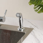 Universal Kitchen Sink Side Sprayer Head Replacement, Chrome Finish