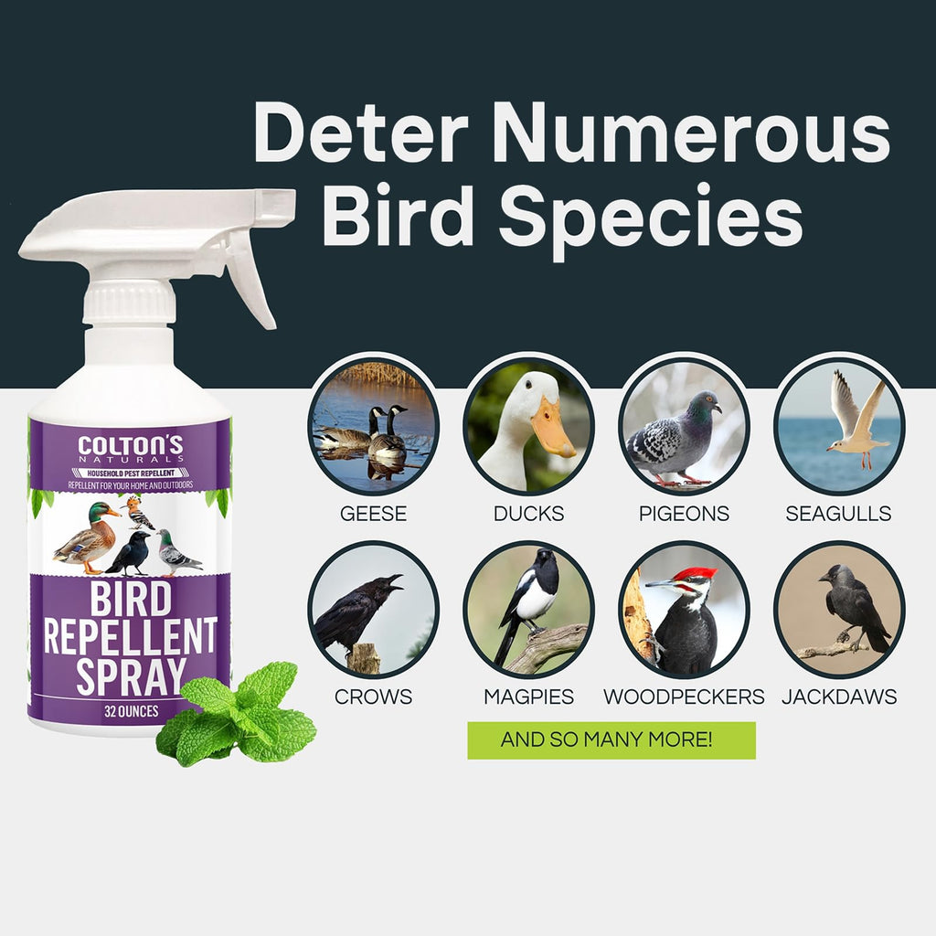 Bird Repellent Spray (32 OZ) Deter Birds from Outdoor Surfaces, Garden Areas Deterrent Natural Woodpecker, Pigeon and More Natural