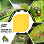 250 Pcs Double Sided Sticky Traps for Flying Plant Insect Like White Flies Aphids 6 x 8 Inch Sticky Gnat Traps Killer Fruit Fly Traps for Indoor Outdoor Including Twist Ties, Yellow