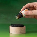 Plant Therapy Lava Rock Passive Diffuser for Essential Oils Great for Decorating at Home, Office or Car, and Gift-Giving