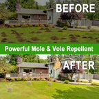 DALIYREPAL Mole Repellent,Vole Repellent Outdoor,Gopher Repellent, Mole Repellent for Lawns,8 Count Natural Gopher Repellent Keep Moles and Voles Out of Your Lawn and Garden, Safe Around Pet & Plant