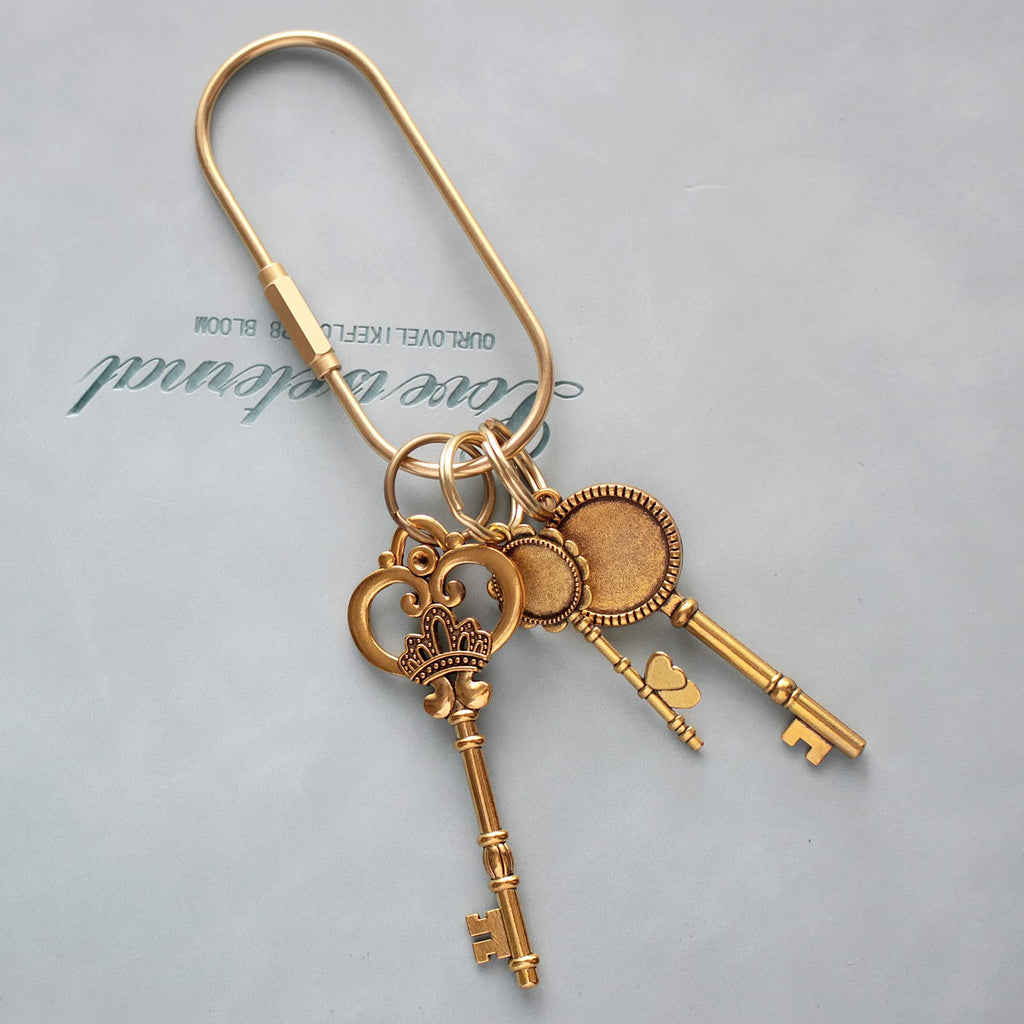 Gold Brass Key Rings, Purse Bag Charms for Handbags, Screw Lock Key Organizer, Carabiner Keychain Clip for Keys