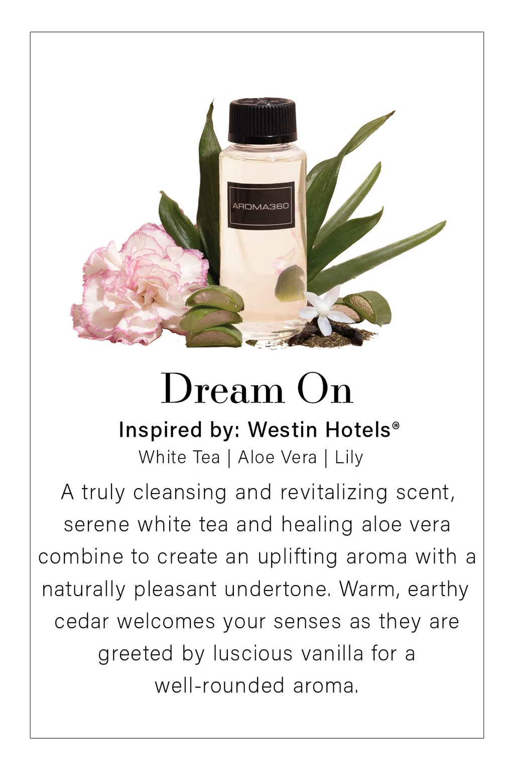 Aroma360 - Dream On Fragrance Oil Blend | Hotel Inspired for Luxury Essential Oil Diffusers | Aromatherapy Scent Diffuser Oil | Serene White Tea, Healing Aloe Vera, and Warm Earthy Cedar - 50ML