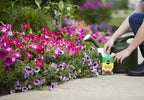 Miracle-Gro Water Soluble All Purpose Plant Food and Garden Feeder Bundle: Use on Flowers, Vegetables, Trees, and Houseplants