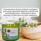Eucalyptus Spearmint Aromatherapy Candle 3-Wick | Soy Scented Candle for Home | 15.8 oz Large Candle for Men and Women | Long Lasting Eucalyptus Candle | Decorative Candle Gift