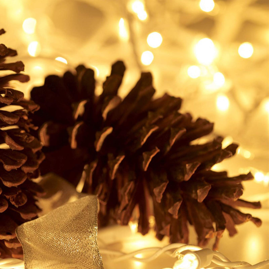 Christmas Lights 100 Count Mini Clear Lights 32ft White Wire Christmas Tree String Lights Set for Outdoor Indoor Christmas Decorations Wedding Decorations Valentines Day Decor,UL Certified (32feet)
