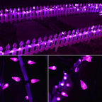 Twinkle Star 50 LED C6 Halloween String Lights, 17ft Battery Operated Fairy Lights with 8 Lighting Modes, Indoor Outdoor Black Wire Lights for Patio Garden Party Wedding Christmas Decoration, Purple