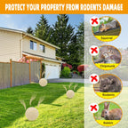DALIYREPAL Squirrel Repellent Outdoor,Chipmunk Repellent Outdoor, Mint Squirrel Deterrent for Attic,Safe Around Kid & Pets Keep Squirrel Away for Plants,Squirrels Repellent for Garden 8-Packs