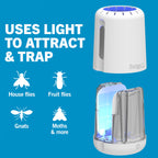 Safer Home Catch 360° Cordless Flying Insect Trap, UV LED Light, Chemical-Free, 10 Day Rechargeable Battery, Effective Fruit Fly Traps for Indoors, Gnat Traps for House Indoor, 1 Device + 6 Glue Cards