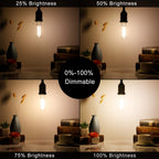 LiteHistory Dimmable E26 Edison Bulb 6W Equal 60 watt Light Bulb AC120V Warm White 2700K Edison Light Bulbs 60 Watt 600LM Tubular T10 led Bulb for Rustic Pendant,Chandeliers,Wall sconces,Vanity 6Pack