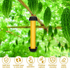 Fly Traps for Indoor Outdoor Hanging Fly Stick Sticky Mosquito Trap Fruit Fly Stick Trap Home Insect Fly Sticky Trap, 10 x 2.5 Inches (12 Pcs)