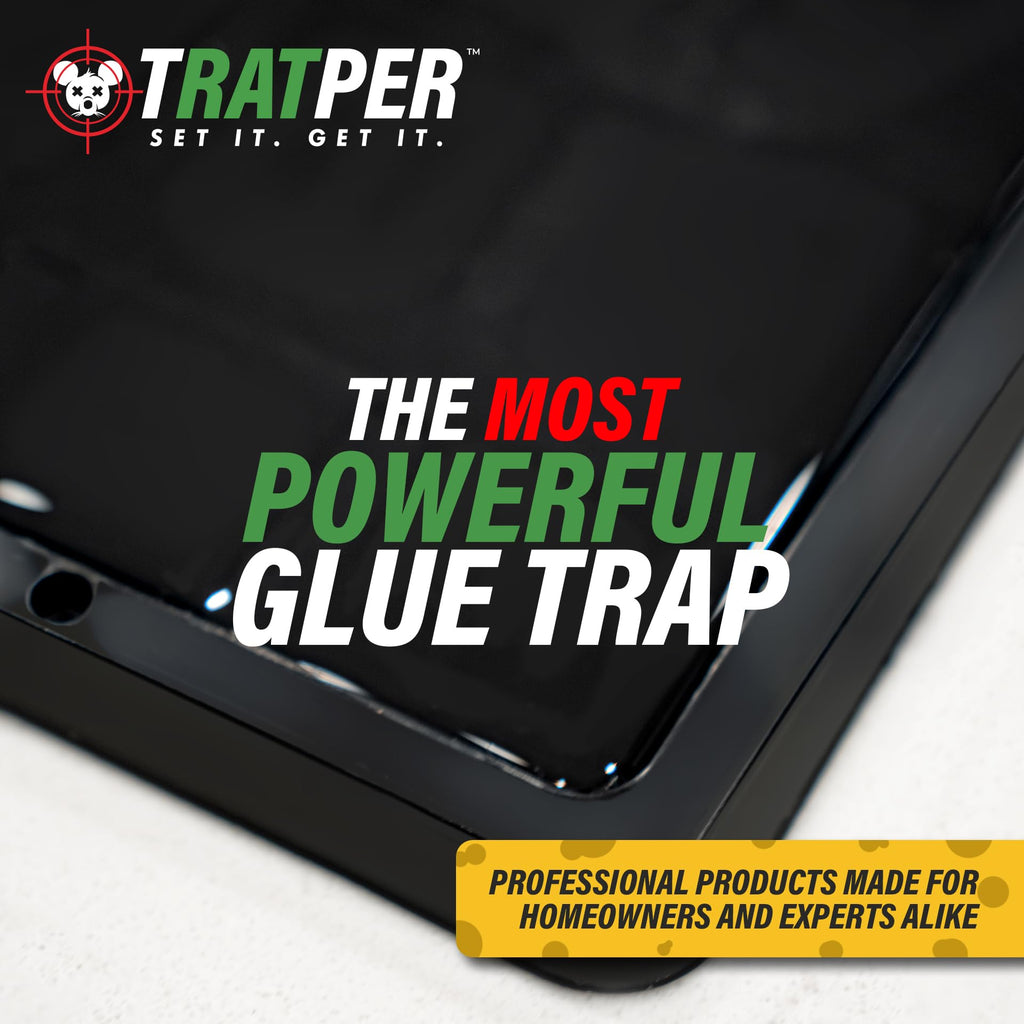 TRATPER Glue Traps for Mice,Rat,Mouse,Snake,Lizard,Insect. 12 Pack. Extra Strength,Pre-Baited Adhesive.Heavy Duty Plastic Tray.Non-Toxic,Chemical-Free Pest Control for Home. 12Pack