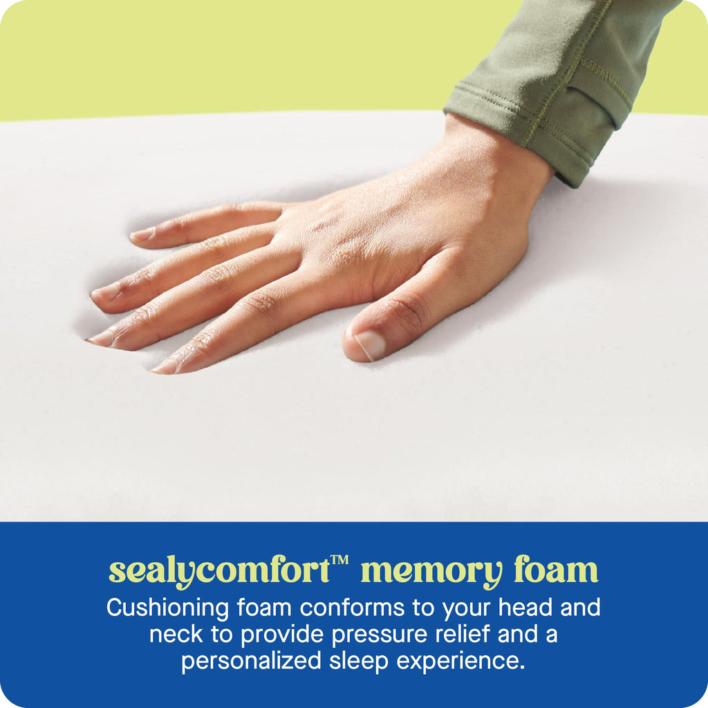 SEALY Dreamlife Standard Size Contour Memory Foam Pillow with Surface Guard Technology, Removable Machine-Washable Cover, 1 Year Limited Warranty