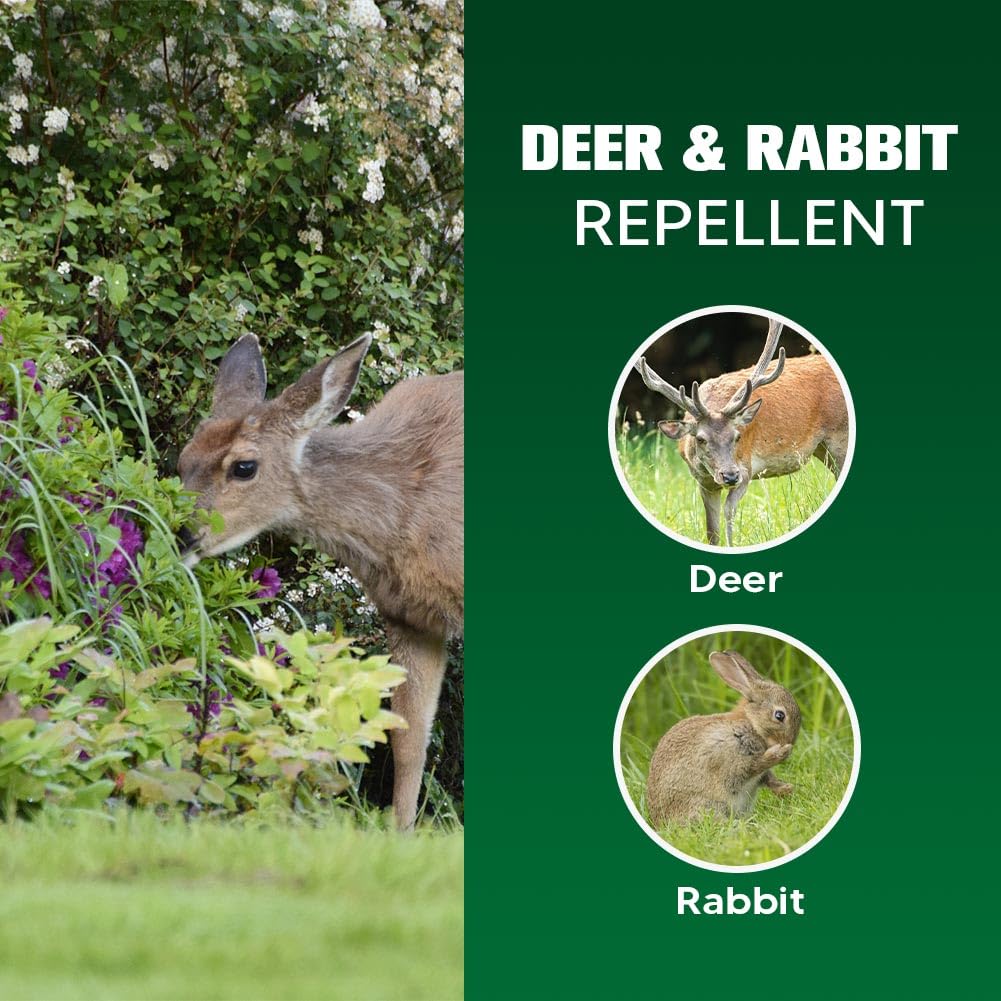 pzwmmsse Deer Repellent, Deer & Rabbit Repellent for Plants, Deer Deterrent for Garden and Yard, Rabbit Repellant Outdoor, Keep Deers Away from Trees, Long-Lasting 2 Months Protection-8 Pack