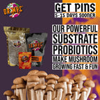 DrMyc.com Magical Gypsum for Mushroom Substrates - Lab Grade Purity Gypsum with Organic Humic Acid, Biochar, Sucrose & MGP Microbes for Mushroom Growing (3.0 lbs)