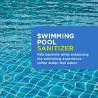 FROG Replacement Chlorine Cartridges for use with Flippin’ FROG Floating Sanitizer System - Prefilled Cartridges Support Easy Pool Maintenance and Cleaner & Clearer Water - 4 Pack