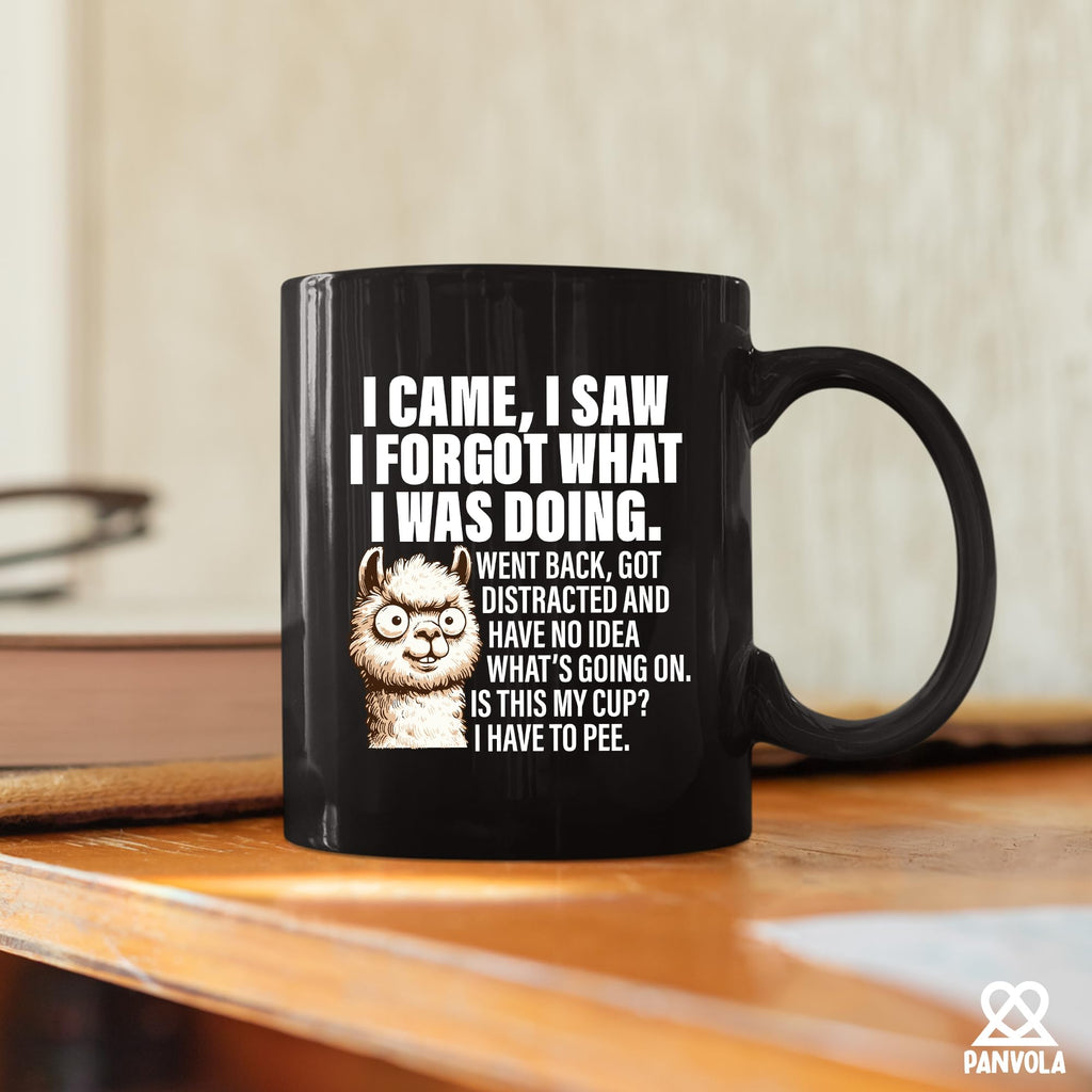 I Came I Saw I Forgat What I Was Doing Old People Elderly Gifts for Women Mom Men Grandpa Grandma 70th 80th 90th Birthday Senior Citizen Gifts for People with Dementia Ceramic Mug 11 oz Black