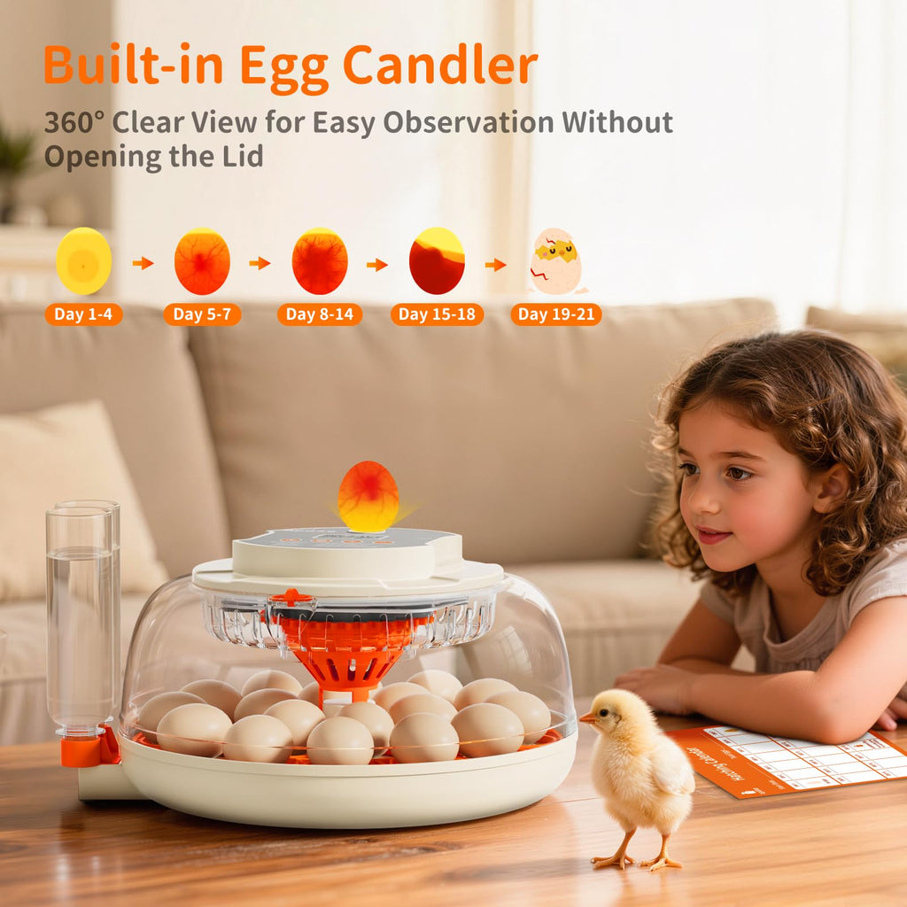 APDOE Egg Incubators for Hatching Eggs, Temperature and Humidity Control, Automatic Egg Turning, Egg Candler, External Water Bottle, Air Vent, for Chicken, Duck & Quail Eggs, 18 Eggs