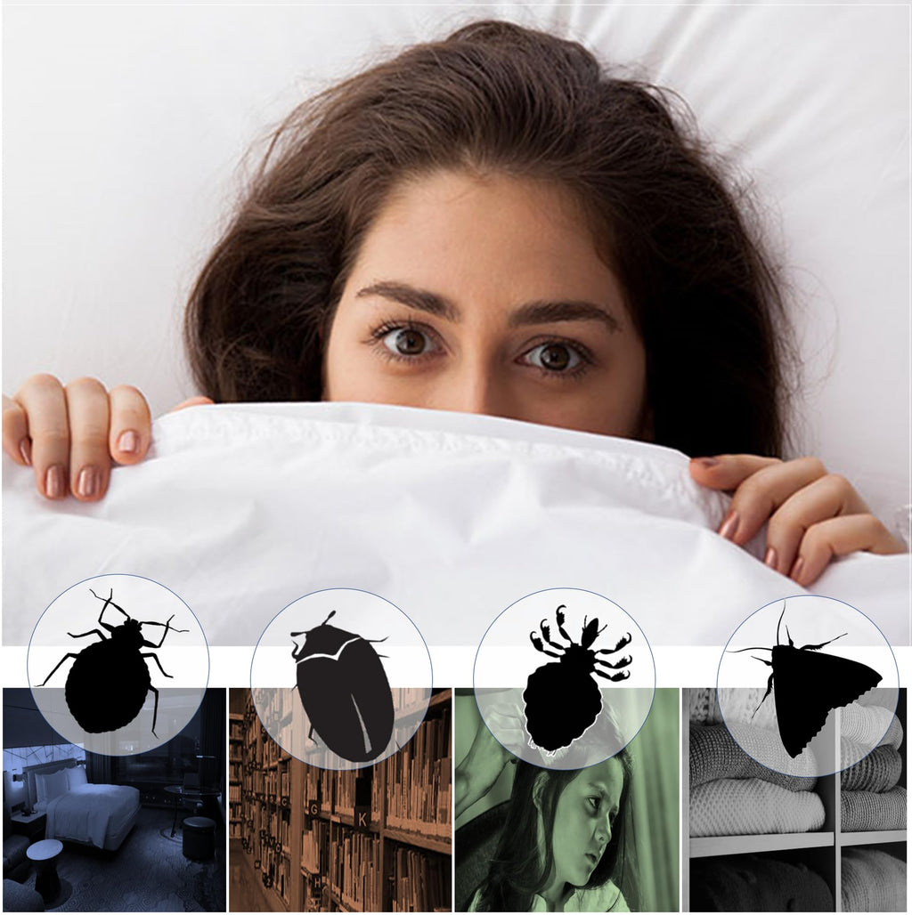 ThermalStrike Ranger Bed Bug Heater, Eliminates Eggs, Used by Professionals and Homeowners, Effective Against Moths, Carpet Beetles and Lice