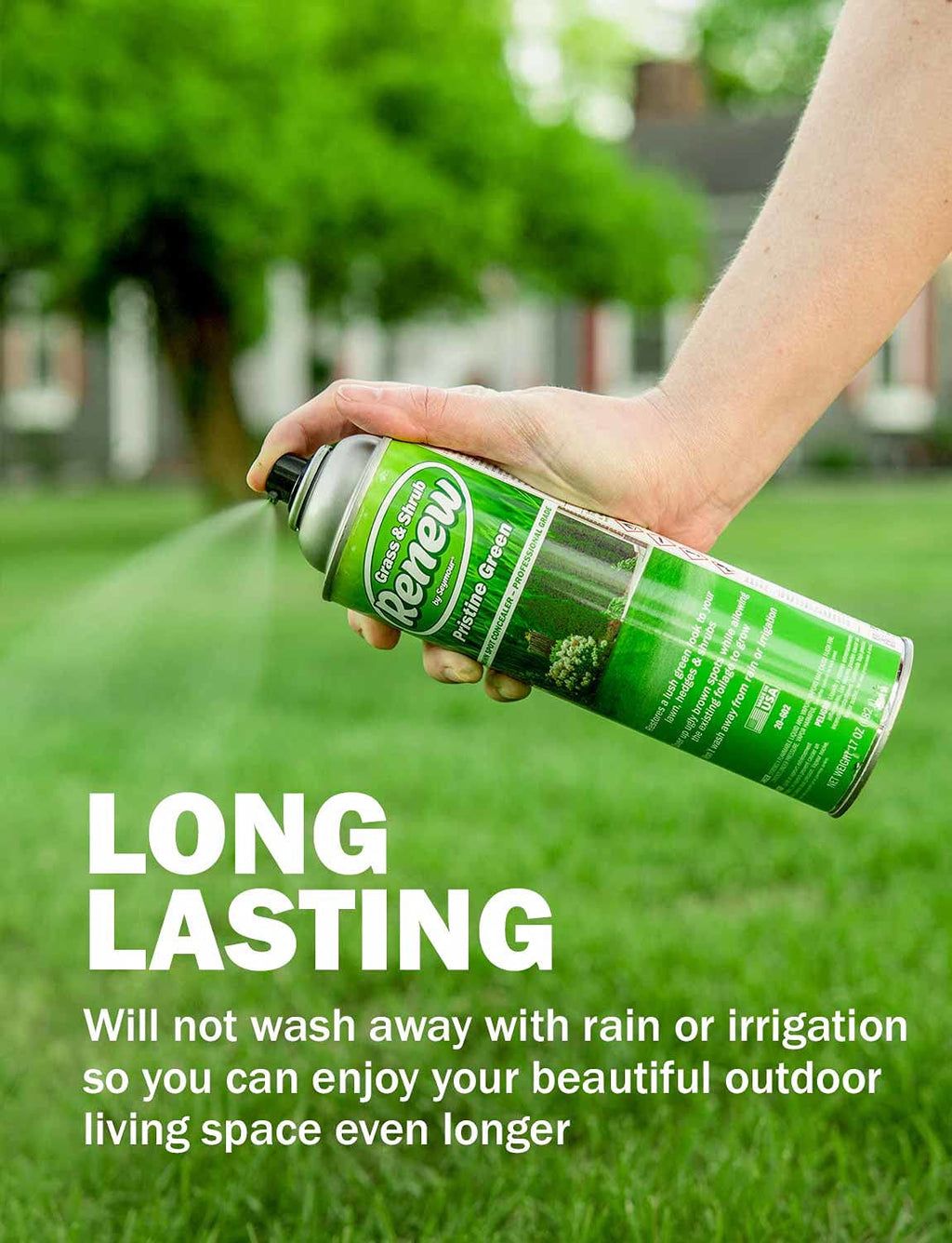 Seymour 20-602 Grass and Shrub Renew Spray Paint, Pristine Green (17 oz.)
