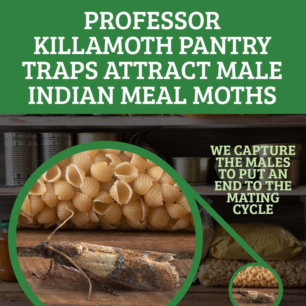 Professor Killamoth Pantry Moth Traps 6 Pack, Professional Grade Pheromone Moth Traps for House Indoor, Non-Toxic Pantry Moth Trap for Kitchen, Food & Cupboards