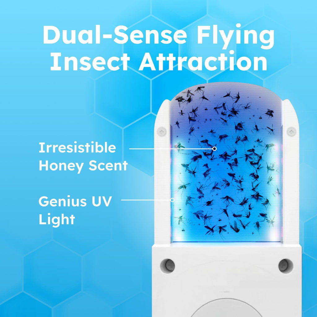 BugMD No Buzz Zone Fruit Fly Traps for Indoors with Honey Scent Bait & UV Light – Gnat Traps for House Indoor, Plug in Fly Trap Indoor, Bug Zapper Alternative, Mosquito Trap for Home