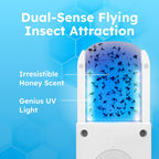 BugMD No Buzz Zone Fruit Fly Traps for Indoors with Honey Scent Bait & UV Light – Gnat Traps for House Indoor, Plug in Fly Trap Indoor, Bug Zapper Alternative, Mosquito Trap for Home