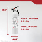 Kidde Kitchen Fire Extinguisher, 711A, RESSP