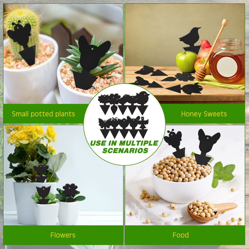 Qualirey 400 Pieces Fruit Fly Traps Sticky Fungus Gnat Trap Plant Insect Catching Trap, Odorless Sticky Traps Killer for Indoor Outdoor Kitchen Plants, Black