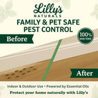 Diatomaceous Earth Food Grade with Peppermint Oil Crawling Insect Killer | Indoor Pest Control Powder for Bed Bug, Roach, Ant, Fleas | Lilly's naturals, 12 fl oz