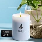 Natur IX Calming Scented Candles for Home | Lavender, Basil & Jasmine Candle | Natural Non Toxic Soy Candles with Essential Oils | 50 H Long Burning | Aromatherapy Candle Jar with Lid - 8.3oz