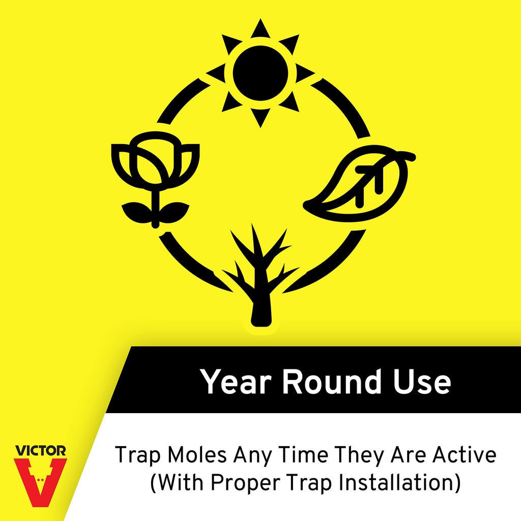Victor Plunger Style Mole Trap - Kill Moles in Your Yard - Humanely Kill Moles - 0645 - Weather Resistant Trap - Ready to Use