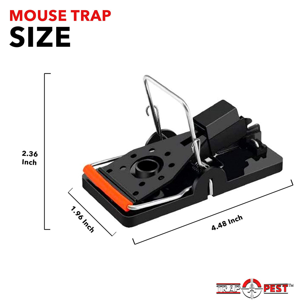 Trap A Pest Mouse Traps - Reusable Snap Traps for Mice, Rodents and Pests, Sanitary Safe Mousetraps That Work - Indoor and Outdoor Effective Mice Traps (6 Pack)