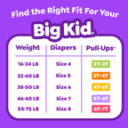 Pull-Ups Girls' Potty Training Pants, Size 3T-4T Training Underwear (32-40 lbs), 66 Count