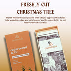 Calmveda Balsam Cedar Incense Sticks - (80 Scented Sticks) Charcoal Free, Made from Upcycled Flowers | Like Freshly Cut Christmas Tree Incense Sticks, Cypress Woodsy & Moss Notes | for Holiday Cheers