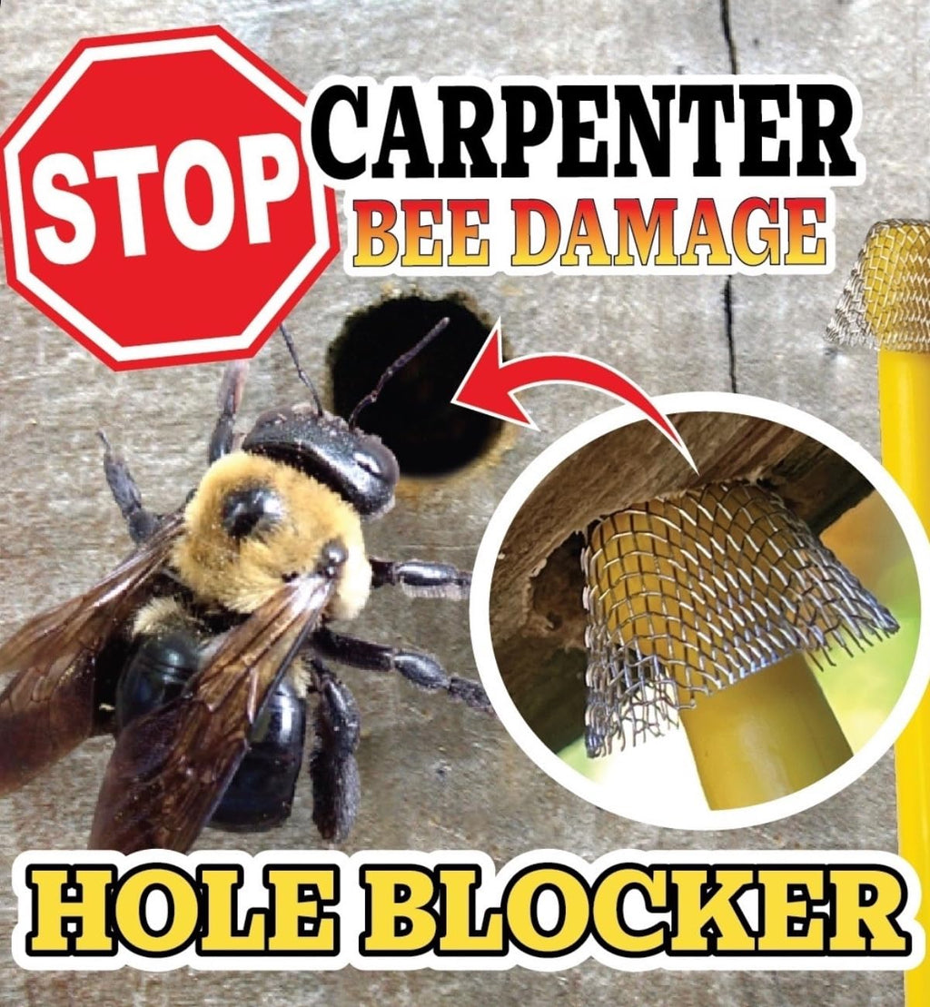 BB PRO Patented Carpenter Bee Traps for Outside – 304 Stainless Steel 200 Count Hole Filler Plugs – Stop Woodpecker Damage & Borer Bee Re-Entry – Permanent Wood Protection Kit