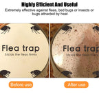 Flea Trap, Sticky Flea Traps for Inside Your Home, Odorless Non-Toxic Natural Flea Killer Trap Pad Bed Bug Trap Light Bulb Pest Control for Home House Inside, Safe for Children Pet Dog Cat(2 Pack)