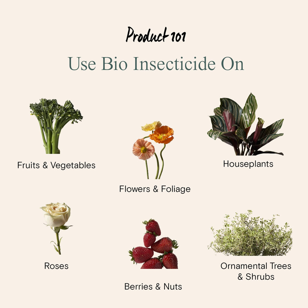 Arber Bio Insecticide | Organic Insect Control Liquid Concentrate for Indoor House Plants | Natural Gardening Solution Kills Spider Mite, Mealybug, Scale, Whitefly, Fungus Gnat | Make Over 16 Gallons