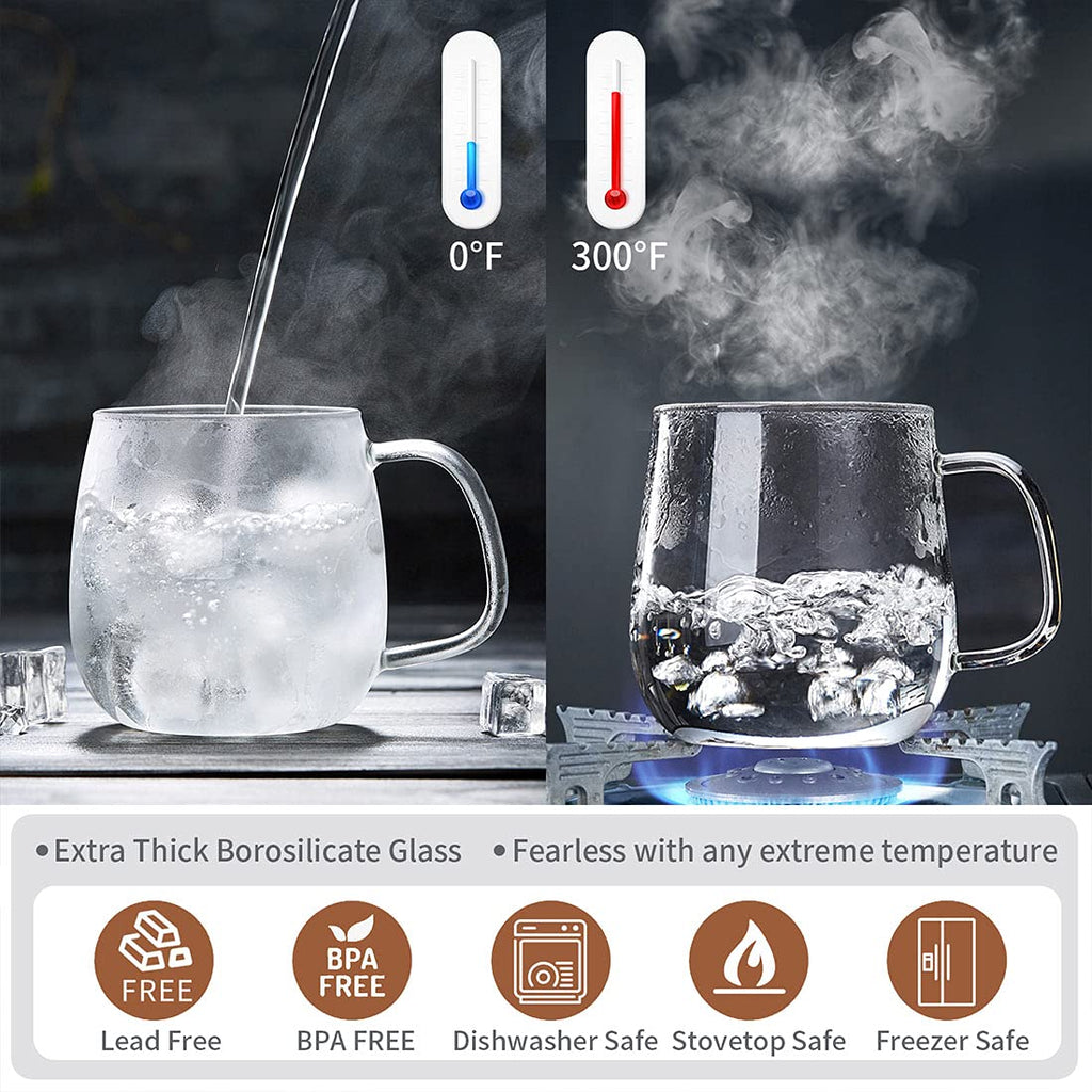 DOPUDO Glass Tea Cup with Infuser and Lid, 17.6oz/520ml Large Borosilicate Teacup, Clear Mug for Loose Leaf Tea, Blooming Tea, Tea Bags - Perfect Christmas or Birthday Gift for Women