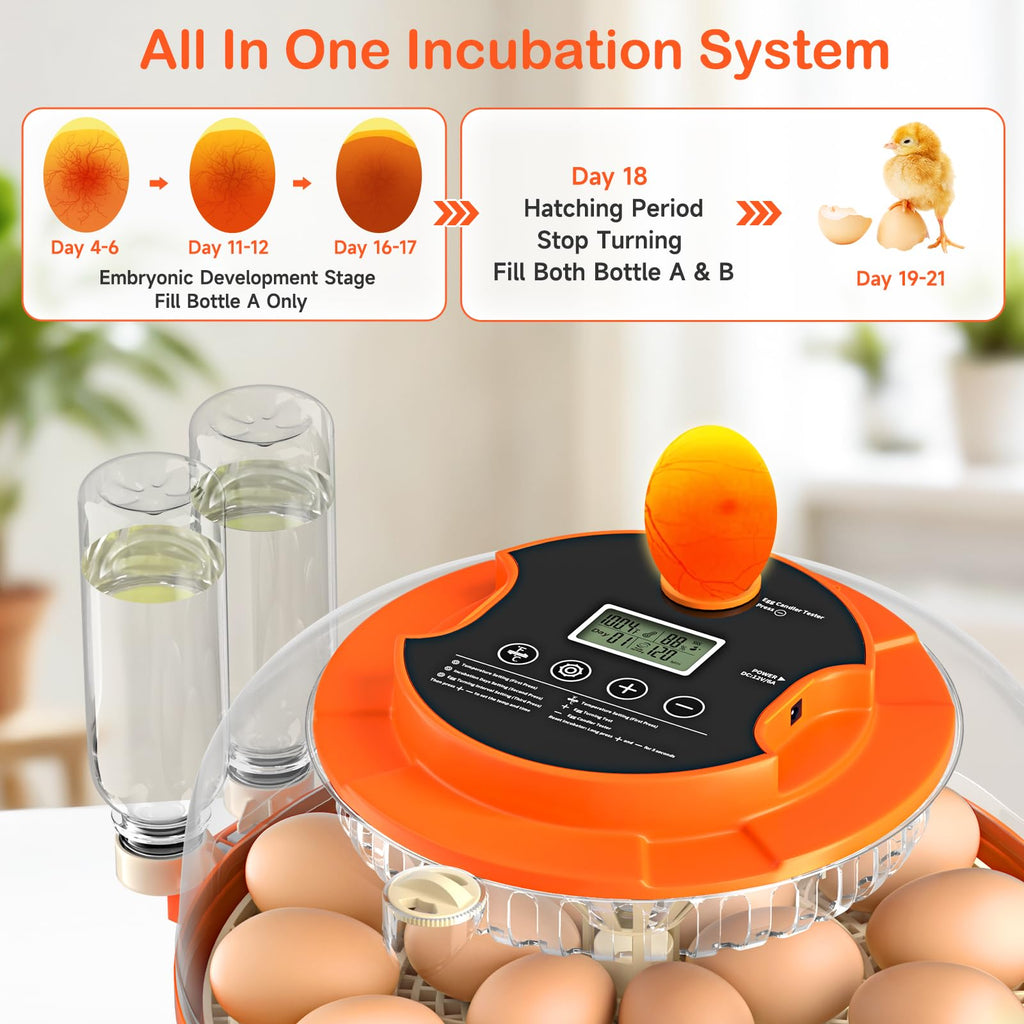 18 Egg Incubators for Hatching Eggs, Automatic Egg Turning and Humidity Control Incubator for Hatch Chicken Duck Quail Pigeon Pheasant Partridge Home Classroom Lab-