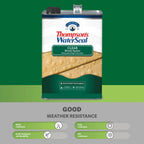 Thompson's WaterSeal Clear Wood Sealer, Clear, 1 Gallon
