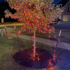 YEGUO Orange Lights for Halloween, 200 LED String Lights Outdoor Waterproof, Green Wire Christmas Lights Indoor, 8 Modes 66ft Twinkle Lights Plug in for Halloween Decor