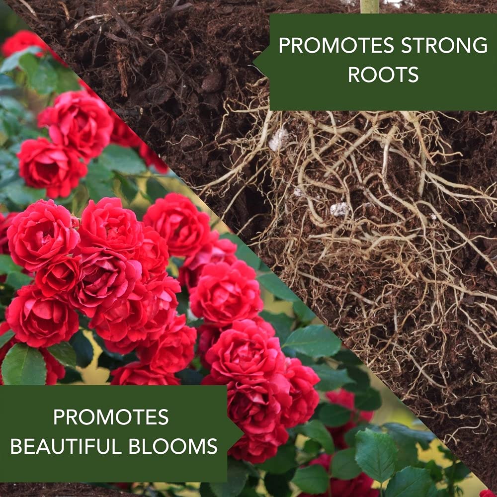 BioAdvanced All-In-One Rose and Flower Care, Granules, 4 lb
