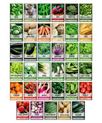 Survival Vegetable Seeds Garden Kit Over 16,000 Seeds Non-GMO and Heirloom, Great for Emergency Bugout Survival Gear 35 Varieties Seeds for Planting Vegetables 35 Plant Markers Gardeners Basics