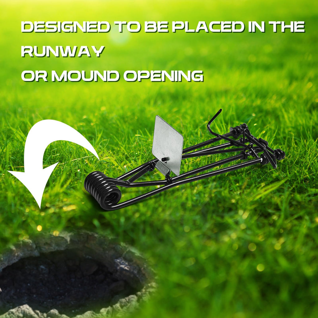 Qualirey 4 Pcs Outdoor Gopher Trap Easy Set Mole Trap Weather Resistant Gopher Killer Vole Trap for Lawn Garden Farm (Black)