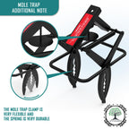 LETYANGER 2024 2 Pcs Mole Traps, Black Galvanized Steel Scissor Trap, Reusable Mole Gopher Traps, Mole Killer, Galvanized Steel Mole Scissor Trap, Ground Mole Trap for Lawns
